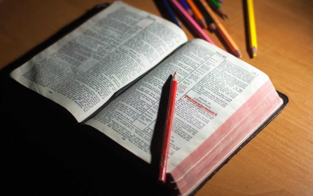 Bible Study Tuesday, May 12th @ 10 am St. Philip’s Whitney
